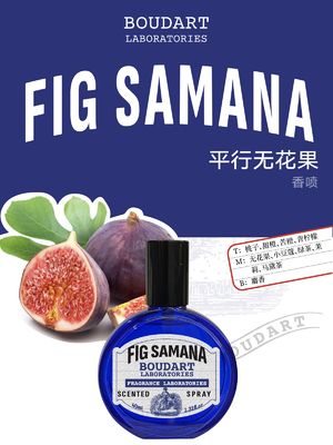 FIG SAMANA Spray pour le corps Lime et huile parfumée de musc concentrée avec huile essentielle de clou de girofle