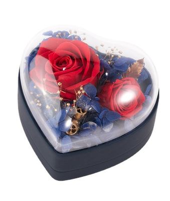 L'OEM a réutilisé le plastique 115×115×110mm de boîte-cadeau des bijoux 0.406kg
