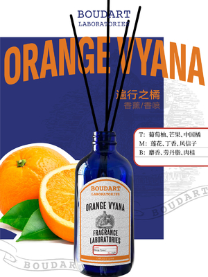 Diffuseur OEM de roseau à base de cannelle et de saveur orange