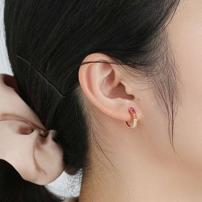 Arc-en-ciel Sterling Silver Jewelry Earrings