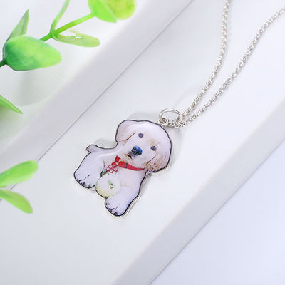 collier personnalisé à la mode argenté 2.2cm fait sur commande d'étiquette de chien des colliers S925 de 0.87in