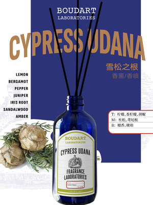 CYPRESS UDANA Diffuseur de roseau en gros OEM Parfum pour la décoration de la maison bouteille en verre naturel huile essentielle arôme Bâtons de rotin